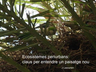 Ecosistemes periurbans:
claus per entendre un paisatge nou
J Lascurain
 