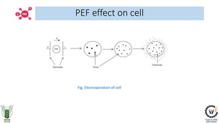 Figure 2: Fruit juices treated with PEF technology and example of a PEF unit on an
industrial scale
Pulsed electric field ...