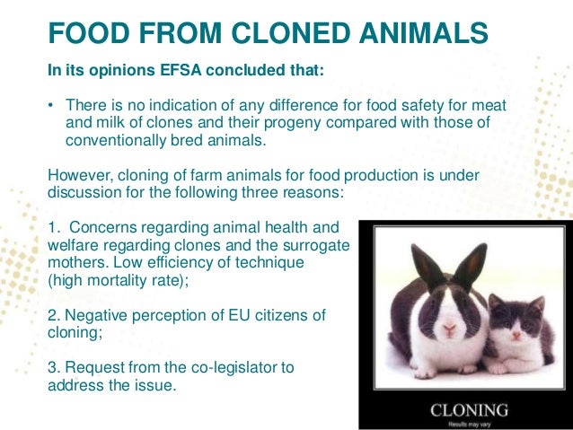 a discussion of cloning Cloning takes the discussion of human experimentation another step further, and challenges the ethical line of human subject experiments. a discussion of cloning Cloning takes the discussion of human experimentation another step further, and challenges the ethical line of human subject experiments.