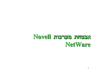 אבטחת מערכות  Novell NetWare 