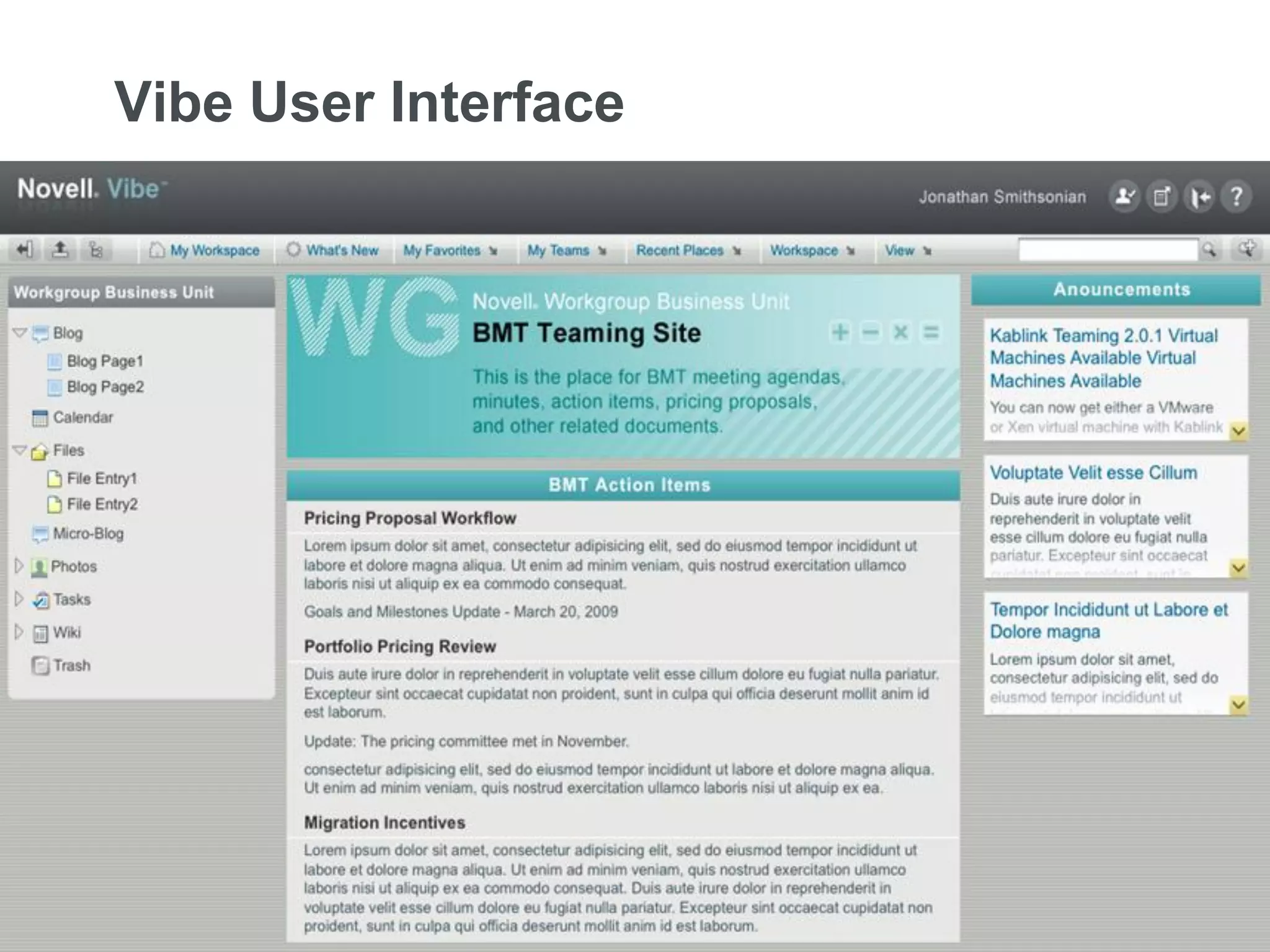 Vibe User Interface




9   © Novell, Inc. All rights reserved.
 
