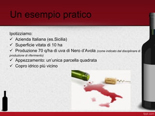 Un esempio pratico
Ipotizziamo:
 Azienda Italiana (es.Sicilia)
 Superficie vitata di 10 ha
 Produzione 70 q/ha di uva di Nero d’Avola (come indicato dal disciplinare di
produzione di riferimento)
 Appezzamento: un’unica parcella quadrata
 Copro idrico più vicino
 