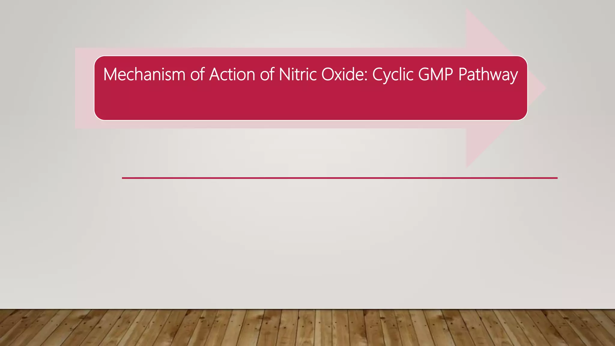 Mechanism of Action of Nitric Oxide: Cyclic GMP Pathway
 