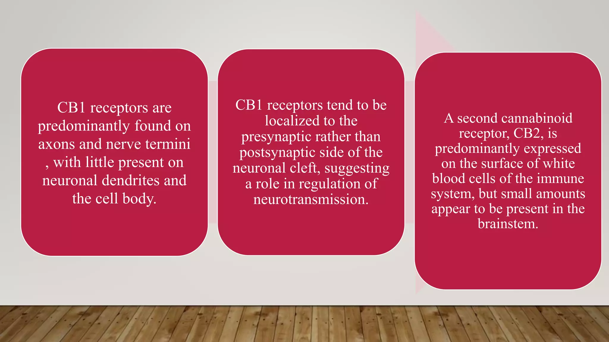 CB1 receptors are
predominantly found on
axons and nerve termini
, with little present on
neuronal dendrites and
the cell body.
CB1 receptors tend to be
localized to the
presynaptic rather than
postsynaptic side of the
neuronal cleft, suggesting
a role in regulation of
neurotransmission.
A second cannabinoid
receptor, CB2, is
predominantly expressed
on the surface of white
blood cells of the immune
system, but small amounts
appear to be present in the
brainstem.
 