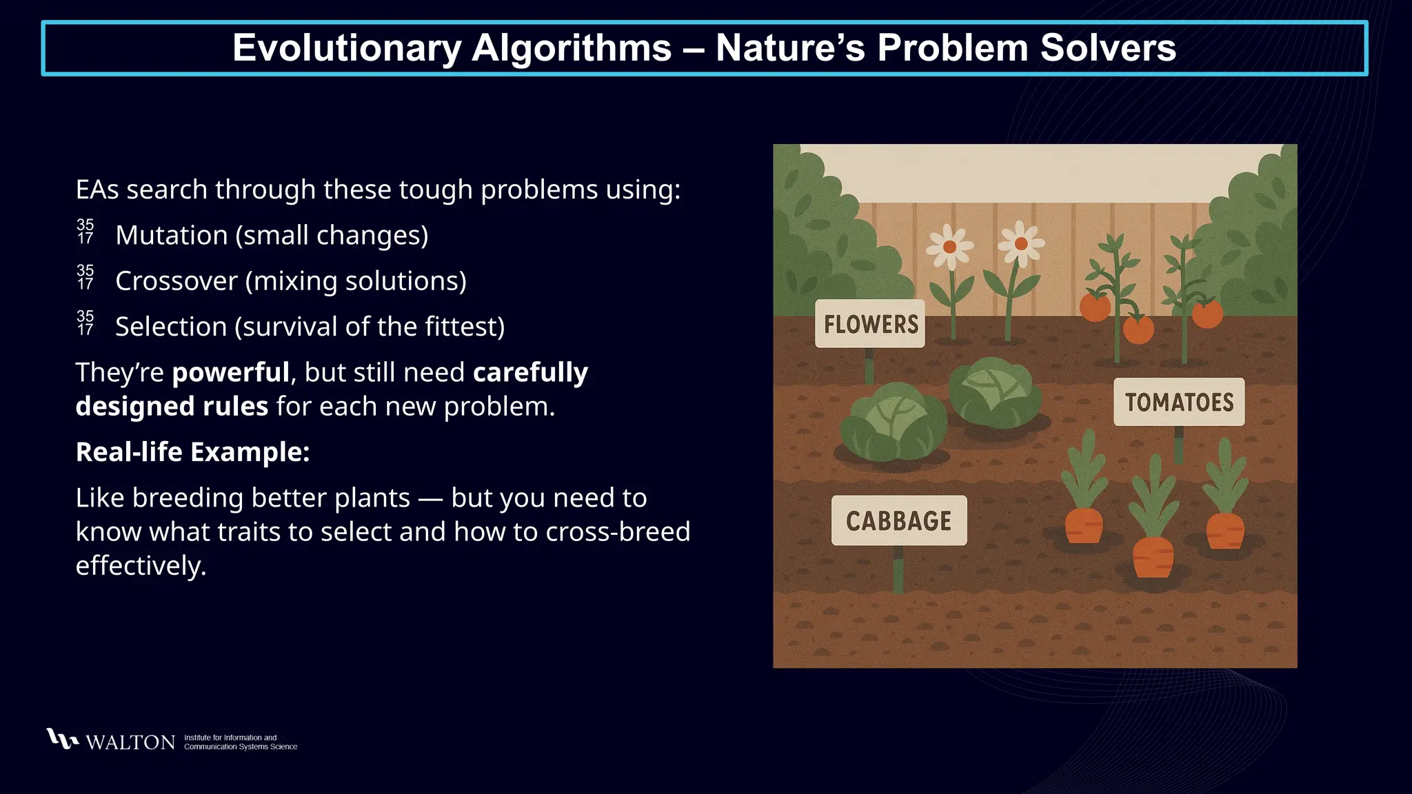 Evolutionary Algorithms – Nature’s Problem Solvers
EAs search through these tough problems using:
 Mutation (small changes)
 Crossover (mixing solutions)
 Selection (survival of the fittest)
They’re powerful, but still need carefully
designed rules for each new problem.
Real-life Example:
Like breeding better plants — but you need to
know what traits to select and how to cross-breed
effectively.
 