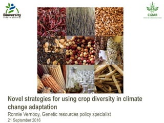 Novel strategies for using crop diversity in climate
change adaptation
Ronnie Vernooy, Genetic resources policy specialist
21 September 2016
 