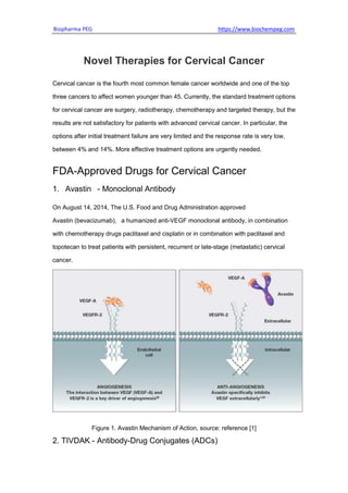 Biopharma PEG https://www.biochempeg.com
Novel Therapies for Cervical Cancer
Cervical cancer is the fourth most common female cancer worldwide and one of the top
three cancers to affect women younger than 45. Currently, the standard treatment options
for cervical cancer are surgery, radiotherapy, chemotherapy and targeted therapy, but the
results are not satisfactory for patients with advanced cervical cancer. In particular, the
options after initial treatment failure are very limited and the response rate is very low,
between 4% and 14%. More effective treatment options are urgently needed.
FDA-Approved Drugs for Cervical Cancer
1. Avastin - Monoclonal Antibody
On August 14, 2014, The U.S. Food and Drug Administration approved
Avastin (bevacizumab), a humanized anti-VEGF monoclonal antibody, in combination
with chemotherapy drugs paclitaxel and cisplatin or in combination with paclitaxel and
topotecan to treat patients with persistent, recurrent or late-stage (metastatic) cervical
cancer.
Figure 1. Avastin Mechanism of Action, source: reference [1]
2. TIVDAK - Antibody-Drug Conjugates (ADCs)
 