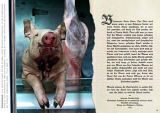 Schlachtmond: Alte deutsche Namen für den November waren Windmond und Nebelung. In den Niederlanden
wurde er auch Schlachtmond oder Schlachtemonat genannt, da zu dieser Jahreszeit das Einschlachten




                                                                                                      B       lutwurst. Erste Sorte. Das Blut wird
                                                                                                            warm, sowie es vom Schweine kommt, mit
                                                                                                      einem kleinen Besen geschlagen, bis es ganz
                                                                                                      kalt geworden, und durch ein Sieb gerührt, wo-
                                                                                                      durch es ﬂüssig bleibt. Dann gibt man zu einem
                                                                                                      Teil des Blutes reichlich vom besten gekochten
                                                                                                      und feingehackten Schweineﬂeisch, mager und
                                                                                                      fett, nebst den weichgekochten und feingehackten
                                                                                                      Schwarten, ferner: gekochten Speck, welcher in
                                                                                                      kleine Würfel geschnitten ist, Salz, Pfeffer, Nel-
                                                                                                      ken und Nelkenpfeffer. Dies alles wird wohl ge-
                                                                                                      mischt, wie Leberwurst in dicke, möglichst glatte
                                                                                                      Därme nicht fest gefüllt, damit die Masse sich
                                                                                                      ausdehnen kann, und eine halbe Stunde gekocht.
                                                                                                      Blutwurst muß vollkommen gar gekocht wer-
der Schweine vorgenommen wurde. Foto: Gerti G.




                                                                                                      den, um sich lange zu halten; deshalb nimmt
                                                                                                      man eine Wurst aus dem kochenden Wasser mit
                                                                                                      dem großen Schaumlöffel und sticht mit einer
                                                                                                      langen Stopfnadel hinein. Zeigt sich noch Blut,
                                                                                                      so ist die Wurst noch nicht gar, dringt aber
                                                                                                      klares Fett aus der kleinen Öffnung, so ist sie
                                                                                                      haltbar. Etwas geräuchert, wird die Wurst zum
                                                                                                                     Butterbrot gegeben.

                                                                                                      Manche scheuen die Speckwürfel; in solchen Fäl-
                                                                                                      len kann der Speck fein gehackt werden; läßt
                                                                                                         man ihn fehlen, so wird die Wurst trocken.
                                                                                                                                 –
                                                                                                                      Henriette Davidis-Kolle
                                                                                                      Praktisches Kochbuch für die gewöhnliche und feine Kücke.
                                                                                                                       Bielefeld und Leipzig.
                                                                                                                  Verlag von Velhagen & Klafing.
                                                                                                                                1903
                                                                                                                                                                  49
 