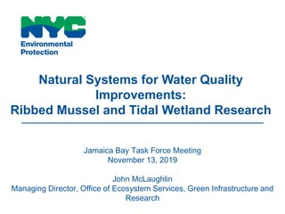 Jamaica Bay Task Force Meeting
November 13, 2019
John McLaughlin
Managing Director, Office of Ecosystem Services, Green In...