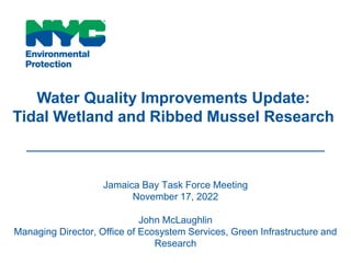 Jamaica Bay Task Force Meeting
November 17, 2022
John McLaughlin
Managing Director, Office of Ecosystem Services, Green Infrastructure and
Research
Water Quality Improvements Update:
Tidal Wetland and Ribbed Mussel Research
 