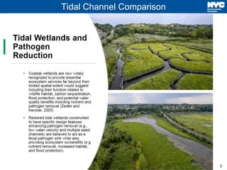 3
Tidal Channel Comparison
 