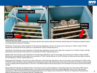 9
Experimental Levels Tested
A total of 6 levels were tested: 720 Density, 1440 Density, Bacteria Pulse, Bacteria Step with Freshwater, Bacteria Step with Freshwater and Spatial Variation,
and Unfiltered Bacteria Step with Freshwater.
720 Density: This level had a uniform distribution of 105 mesh bags, alternating in rows of 4 and 3 bags, each containing 6 to 7 RM for a total of 720 RM.
Bacteria was continuously fed into the system at a concentration of 10,000 E. faecalis cells per mL.
1440 Density: This level had a uniform distribution of 105 mesh bags, alternating in rows of 4 and 3 bags, each containing 13 to 14 RM for a total of 1440 RM.
Bacteria was continuously fed into the system at a concentration of 10,000 E. faecalis cells per mL.
Bacteria Pulse: This level had a uniform distribution of 105 mesh bags, alternating in rows of 4 and 3 bags, each containing 6 to 7 RM for a total of 720 RM.
Bacteria was continuously fed into the system at a concentration of 1,000 E. faecalis cells per mL for 60 mins before an additional dose was added increasing
the concentration to 10,000 E. faecalis cells per mL.
Bacteria Step with Freshwater: This level had a uniform distribution of 105 mesh bags, alternating in rows of 4 and 3 bags, each containing 6 to 7 RM for a total
of 720 RM. A slug of freshwater (100L) was added into the experimental system at the influent portion of the tank (Fig. 18) at 60 min and this took approximately
22 mins. A salinity probe was placed about 12” from the in- and effluent locations with the sensor about 6” from the bottom of the tank to record how the salinity
changed.
Bacteria Step with Freshwater and Spatial Variation: This level did not have a uniform distribution of mesh bags however the total number of RM remained
720.The first third of the tank had alternating rows of 4 and 3 bags and the middle third of the tank contained alternating rows of 3 and 2 with each bag
containing 6 to 7 RM. The final third of the tank had alternating rows of 4 and 3 bags but each contained 8 to 9 RM (Fig. 19). Bacteria and freshwater were
added as described above for the Bacteria Step with Freshwater level.
 