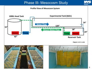 8
Phase III- Mesocosm Study
 