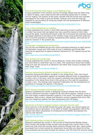 Flick knife thumbs help Japan’s rare fighting frogs
A study published in this month’s Journal of Zoology details how the Otton frog,
a native of Japan, uses a false thumb with protruding spikes both in combat
and for mating. The authors of the study consider that the thumb was originally
developed for the male to grip the female, however over time the frog has
adapted its use providing an intriguing insight into the development of different
hand morphologies.
http://www.sciencedaily.com/releases/2012/10/121018100127.htm

Tiny critter hitchhiked on mayflies
A study published this month in PLoS ONE examining ancient mayflies trapped
in amber has shown that springtails may have used the insects to hitch rides
around the globe. Examining the fossils under the microscope the scientists found
springtails attached to the base of the mayflies wings using prehensile antennae.
This is the first example of mayflies transporting other species, and could be an
area for research in the present day.
http://news.yahoo.com/tiny-critter-hitchhiked-mayflies-fossil-reveals-220922646.
html
Freshwater mussels given protection
The US Fish and Wildlife Service this month extended protection to eight species
of freshwater mussel and 1494 miles of river in Alabama and Florida after
reaching an agreement to speed protection decisions for 757 species around the
country.
http://www.enn.com/wildlife/article/45075

Size matters for small frogs
A study published this month in Animal Behaviour shows that smaller treefrogs
are more likely to cheat their way to a mate. The researchers found that smaller
frogs lurk near the sound of an attractive call rather than trying to compete with
their larger rivals.
http://www.bbc.co.uk/nature/19886131

Autumn spawning by Atlantic sturgeon in Virginia river
Scientists studying the Atlantic sturgeon in the James River, USA, have found
evidence that the population spawns at markedly different times to populations
in other rivers in the area. Until this research scientists had presumed that the
population in the James River bred in the spring as is the case for populations
in other rivers. The findings have important implications for the development of
guidelines to manage the species in the future.
http://www.sciencedaily.com/releases/2012/10/121015093916.htm

River Thames invaded with foreign species
Research published this month in Biological Invasions details that the River
Thames catchment has been invaded by 96 non-native species, making it one of
the most highly invaded freshwater systems in the world. The research, based on
databases, field surveys, atlases and literature reviews suggests that since 1961
one non-indigenous species has been discovered every 50 weeks.
http://www.eurekalert.org/pub_releases/2012-10/qmuo-rti100812.php

Hundreds of Britain’s biggest spiders released into the wild
Once common in the Norfolk broads the great raft spider was almost wiped out
of existence due to agriculture. In an effort to bolster the population 200 of the
species have been successfully re-introduced to the RSPB’s Strumpshaw Fen
reserve near Norwich.
http://www.metro.co.uk/news/914155-hundreds-of-britains-biggest-spiders-are-
released-into-the-wild

Soft-shelled turtles urinate through mouth
Research published this month in The Journal of Experimental Biology shows
that Chinese soft-shelled turtles excrete urea through their mouth much in the
same way that some fish excrete waste products through their gills. Using turtles
purchased from a local market the researchers found that only about 6% of the
urea produced was excreted through the kidneys, with 50 times this amount being
 