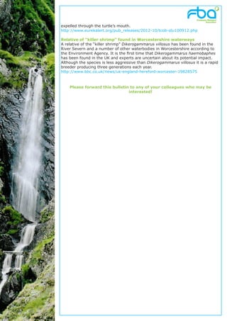 expelled through the turtle’s mouth.
http://www.eurekalert.org/pub_releases/2012-10/tcob-stu100912.php

Relative of “killer shrimp” found in Worcestershire waterways
A relative of the “killer shrimp” Dikerogammarus villosus has been found in the
River Severn and a number of other waterbodies in Worcestershire according to
the Environment Agency. It is the first time that Dikerogammarus haemobaphes
has been found in the UK and experts are uncertain about its potential impact.
Although the species is less aggressive than Dikerogammarus villosus it is a rapid
breeder producing three generations each year.
http://www.bbc.co.uk/news/uk-england-hereford-worcester-19828575



    Please forward this bulletin to any of your colleagues who may be
                                interested!
 