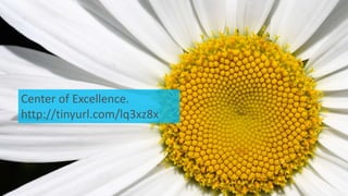 Center of Excellence. 
http://tinyurl.com/lq3xz8x 
 