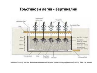 Тръстикови легла - вертикални
Източник: Code of Practice. Wastewater treatment and disposal systems serving single houses (p.e.<10), 2009, EPA, Ireland
 