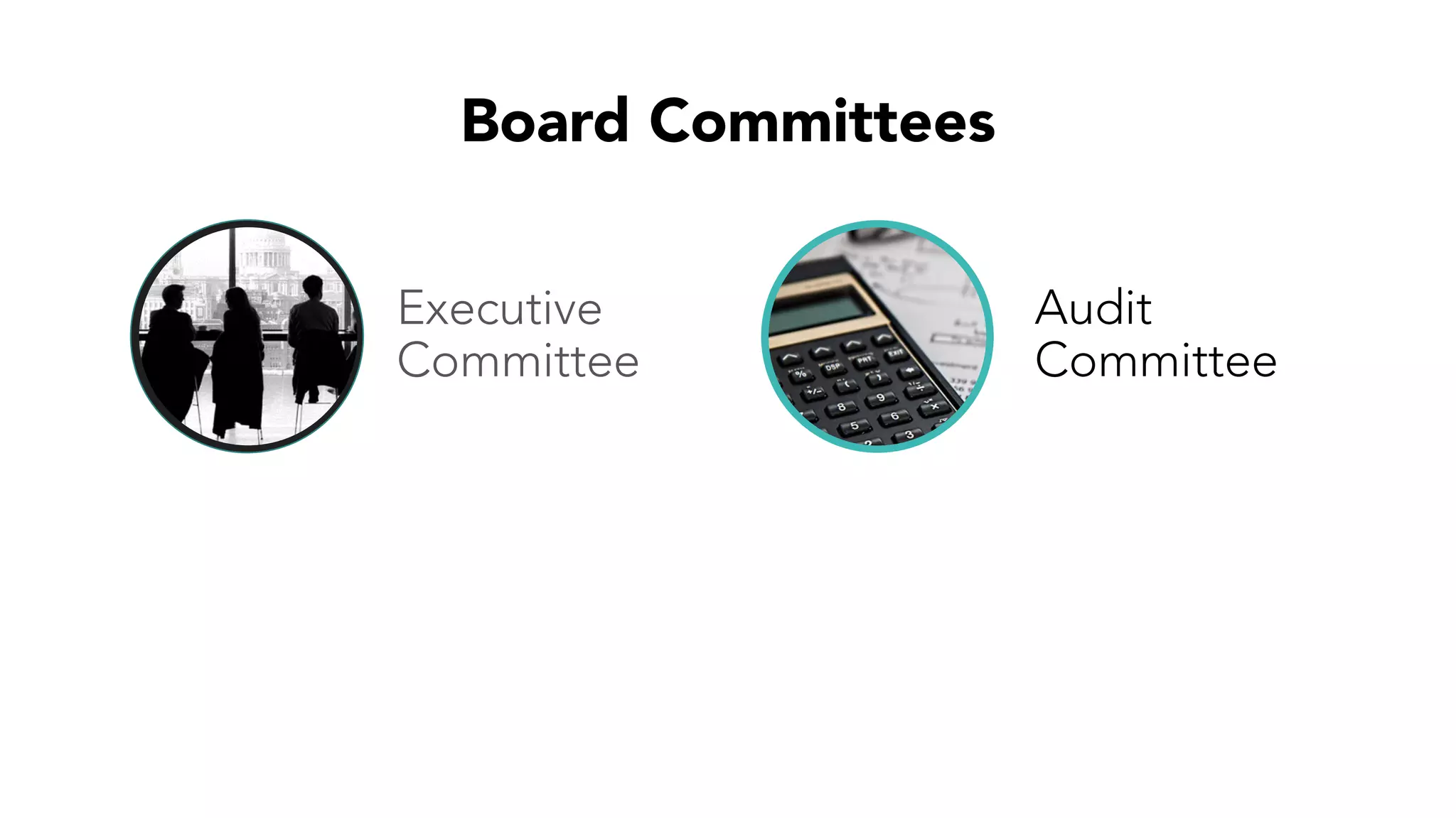 Board Committees
Executive
Committee
Audit
Committee
 