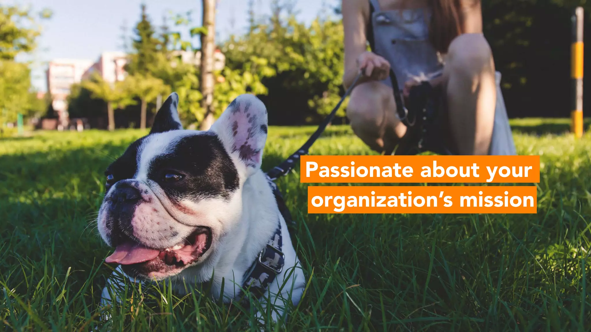 Passionate about your
organization’s mission
 