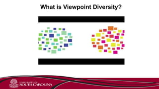 What is Viewpoint Diversity?
 
