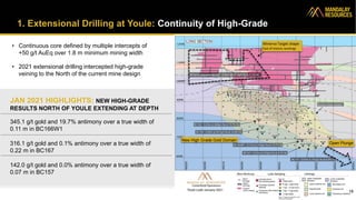 1. Extensional Drilling at Youle: Continuity of High-Grade
• Continuous core defined by multiple intercepts of
+50 g/t AuEq over 1.8 m minimum mining width
• 2021 extensional drilling intercepted high-grade
veining to the North of the current mine design
JAN 2021 HIGHLIGHTS: NEW HIGH-GRADE
RESULTS NORTH OF YOULE EXTENDING AT DEPTH
345.1 g/t gold and 19.7% antimony over a true width of
0.11 m in BC166W1
316.1 g/t gold and 0.1% antimony over a true width of
0.22 m in BC167
142.0 g/t gold and 0.0% antimony over a true width of
0.07 m in BC157
18
Minerva Intercept BC142 - 0.24m @ 12.6g/t Au & 3.1% Sb
New High Grade Gold Domain
Open Plunge
Minerva Target shape
East of Historic workings
 
