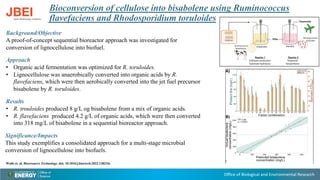 Office of Biological and Environmental Research
Bioconversion of cellulose into bisabolene using Ruminococcus
flavefaciens and Rhodosporidium toruloides
Background/Objective
A proof-of-concept sequential bioreactor approach was investigated for
conversion of lignocellulose into biofuel.
Approach
• Organic acid fermentation was optimized for R. toruloides.
• Lignocellulose was anaerobically converted into organic acids by R.
flavefaciens, which were then aerobically converted into the jet fuel precursor
bisabolene by R. toruloides.
Results
• R. trouloides produced 8 g/L og bisabolene from a mix of organic acids.
• R. flavefaciens produced 4.2 g/L of organic acids, which were then converted
into 318 mg/L of bisabolene in a sequential bioreactor approach.
Significance/Impacts
This study exemplifies a consolidated approach for a multi-stage microbial
conversion of lignocellulose into biofuels.
Walls et. al. Bioresource Technology. doi: 10.1016/j.biortech.2022.128216)
 