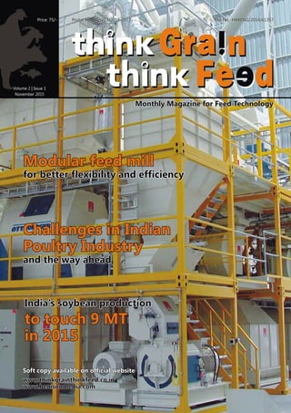 Think Graink Think Feed November Issue