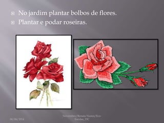 No jardim plantar bolbos de flores.
 Plantar e podar roseiras.
04/06/2014
Novembro/Renata Nunes/Eco-
Escolas_TIC
 