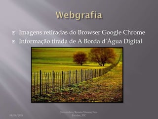  Imagens retiradas do Browser Google Chrome
 Informação tirada de A Borda d’Água Digital
04/06/2014
Novembro/Renata Nunes/Eco-
Escolas_TIC
 