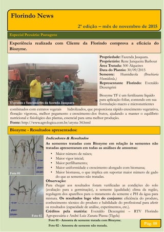 Indicadores & Resultados
As sementes tratadas com Biozyme em relação às sementes não
tratadas apresentaram em todas as análises de amostras:
• Maior número de raízes;
• Maior vigor inicial;
• Maior perfilhamento;
• Maior uniformidade e crescimento alongado com biomassa;
• Maior biomassa, o que implica em suportar maior número de gado
do que as sementes não tratadas.
Observação:
Para chegar aos resultados foram verificadas as condições do solo
(avaliação para a germinação), a semente (qualidade) clima da região,
regulagem dos aparelhos para o tratamento da semente e PH da água para
mistura. Os resultados logo vêm do conjunto: eficiência do produto,
conhecimento técnico do produto e habilidade do profissional para aferir
os resultados (capacidade de análise, experimentos, etc.).
Créditos pela matéria: Everaldo Dezengrini – RTV Florindo
Agropecuária e André Luiz Zanata Piassa (Tigela)
Foto 01
Foto 02
Pág. 08
Experiência realizada com Cliente da Florindo comprova a eficácia do
Biozyme.
Especial Pecuária: Pastagens
Propriedade: Fazenda Jauquara.
Proprietário: Rene Junqueira Barbour
Área Tratada: 500 Alqueires
Data do Plantio: 30/09/2015
Semente: Humidicola (Brachiaria
Humidicola.)
Representante Florindo: Everaldo
Dezengrini
Biozyme TF é um fertilizante líquido
para aplicação foliar, contendo em sua
formulação macro e micronutrientes
combinados com extratos vegetais hidrolizados, que proporciona rápido crescimento vegetativo,
floração vigorosa, melhor pegamento e crescimento dos frutos, ajudando a manter o equilíbrio
nutricional e fisiológico das plantas, essencial para uma melhor produção.
Fonte: http://www.agrologica.com.br/arysta-34.html
Biozyme - Resultados apresentados:
Foto 01 - Amostra de semente tratada com Biozyme.
Foto 02 - Amostra de semente não tratada.
Florindo News
2ª edição – mês de novembro de 2015
Everaldo e funcionários da fazenda Jauquara
 