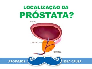 LOCALIZAÇÃO DA
PRÓSTATA?
APOIAMOS ESSA CAUSA
 