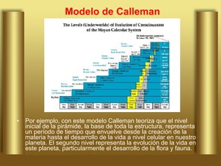Modelo de Calleman Por ejemplo, con este modelo Calleman teoriza que el nivel inicial de la pirámide, la base de toda la estructura, representa un período de tiempo que envuelve desde la creación de la materia hasta el desarrollo de la vida a nivel celular en nuestro planeta. El segundo nivel representa la evolución de la vida en este planeta, particularmente el desarrollo de la flora y fauna. 