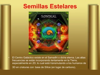 Semillas Estelares El Centro Galáctico existe en el Samadhi o dicha eterna. Las altas frecuencias se están incorporando lentamente en la Tierra, especialmente en 2D, lo cual está transmutando a los humanos de 3D en criaturas con   base de Sílice (en lugar de carbono).  