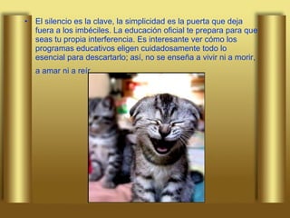 El silencio es la clave, la simplicidad es la puerta que deja fuera a los imbéciles. La educación oficial te prepara para que seas tu propia interferencia. Es interesante ver cómo los programas educativos eligen cuidadosamente todo lo esencial para descartarlo; así, no se enseña a vivir ni a morir, a amar ni a reír.   