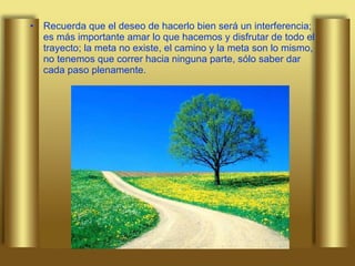 Recuerda que el deseo de hacerlo bien será un interferencia; es más importante amar lo que hacemos y disfrutar de todo el trayecto; la meta no existe, el camino y la meta son lo mismo, no tenemos que correr hacia ninguna parte, sólo saber dar cada paso plenamente. 