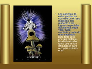 Los espíritus de estas plantas se convirtieron en sus maestros con respecto a los lugares especiales del planeta; cada valle, cada montaña y cada río eran sagrados,  pero toda esta energía brillante les deslumbraba tanto que tenían dificultades para recordar quiénes eran". 