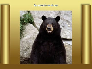 Su corazón es el oso 