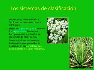 Los sistemas de clasificación
•   Los sistemas de Aristóteles y
    Teofrasto se mantuvieron casi
    2000 años.
•   Hasta los siglos XVI y XVII, cuando
    los exploradores llevaron a
    Europa plantas y animales sin
    identificar de otras tierras.
•   Se necesitaba otro sistema e
    hicieron listas organizadas de
    acuerdo con las características
    estructurales y el valor medicinal.
 