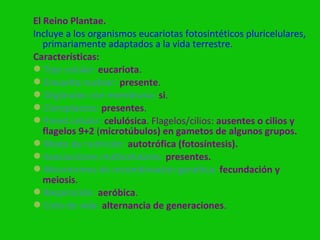 El Reino Plantae.
Incluye a los organismos eucariotas fotosintéticos pluricelulares,
   primariamente adaptados a la vida terrestre.
Características:
Tipo celular: eucariota.
Envuelta nuclear: presente.
Orgánulos con membrana: si.
Cloroplastos: presentes.
Pared celular: celulósica. Flagelos/cilios: ausentes o cilios y
   flagelos 9+2 (microtúbulos) en gametos de algunos grupos.
Modo de nutrición: autotrófica (fotosíntesis).
Asociaciones multicelulares: presentes.
Mecanismos de recombinación genética: fecundación y
   meiosis.
Respiración: aeróbica.
Ciclo de vida: alternancia de generaciones.
 