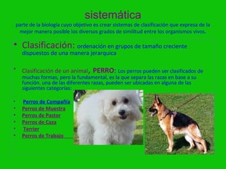 sistemática
    parte de la biología cuyo objetivo es crear sistemas de clasificación que expresa de la
     mejor manera posible los diversos grados de similitud entre los organismos vivos.

• Clasificación: ordenación en grupos de tamaño creciente
      dispuestos de una manera jerarquica.

•                                   ,
      Clasificación de un animal PERRO: Los perros pueden ser clasificados de
      muchas formas, pero la fundamental, es la que separa las razas en base a su
      función. una de las diferentes razas, pueden ser ubicadas en alguna de las
      siguientes categorías:

•     Perros de Compañía
•     Perros de Muestra
•     Perros de Pastor
•     Perros de Caza
•     Terrier
•     Perros de Trabajo
 