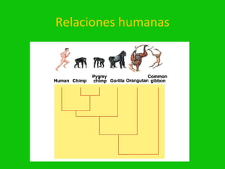 Relaciones humanas
 