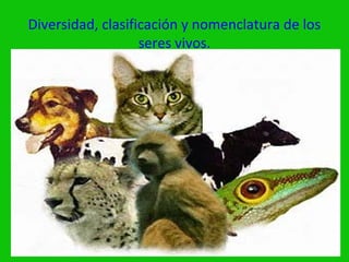 Diversidad, clasificación y nomenclatura de los
                   seres vivos.
 