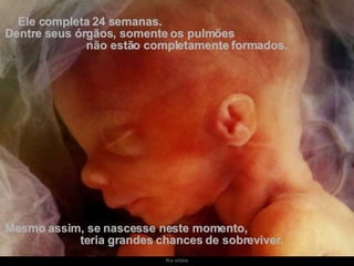 Ele completa 24 semanas.  Dentre seus órgãos, somente os pulmões  não estão completamente formados. Mesmo assim, se nascesse neste momento,  teria grandes chances de sobreviver. 