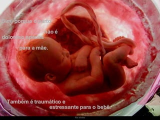 Sim, porque o parto  não é doloroso apenas  para a mãe.   Também é traumático e  estressante para o bebê. 