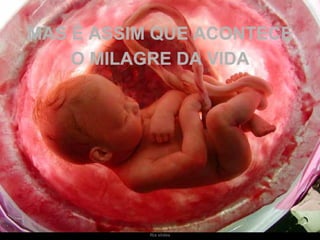 MAS É ASSIM QUE ACONTECE O MILAGRE DA VIDA 