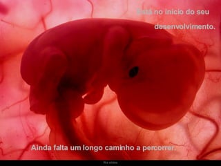 Está no início do seu  desenvolvimento.  Ainda falta um longo caminho a percorrer.  