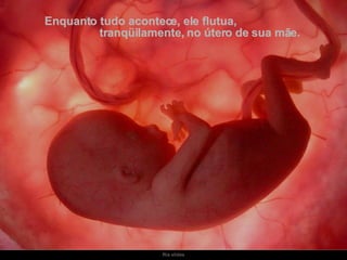 Enquanto tudo acontece, ele flutua,  tranqüilamente, no útero de sua mãe. 