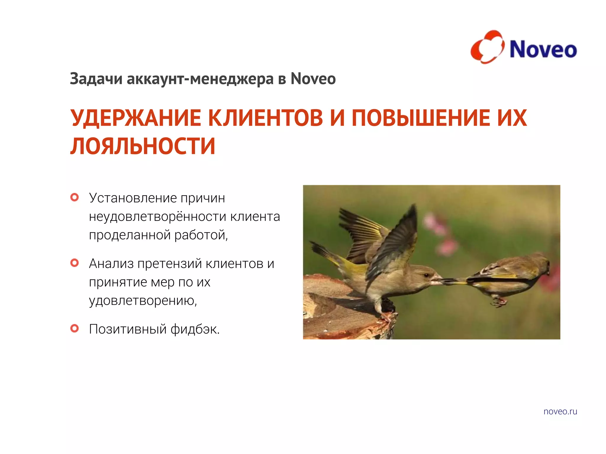 noveo.ru
УДЕРЖАНИЕ КЛИЕНТОВ И ПОВЫШЕНИЕ ИХ
ЛОЯЛЬНОСТИ
Установление причин
неудовлетворённости клиента
проделанной работой,
Анализ претензий клиентов и
принятие мер по их
удовлетворению,
Позитивный фидбэк.
Задачи аккаунт-менеджера в Noveo
 