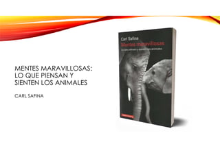 MENTES MARAVILLOSAS:
LO QUE PIENSAN Y
SIENTEN LOS ANIMALES
CARL SAFINA
 