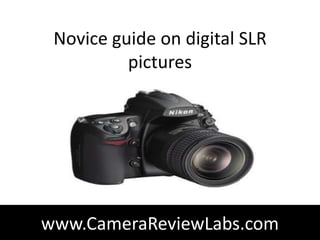 Novice guide on digital SLR
          pictures




www.CameraReviewLabs.com
 